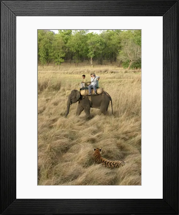 Framed Print : Picture No. 10785675 Framed Print : Picture No. 10785675