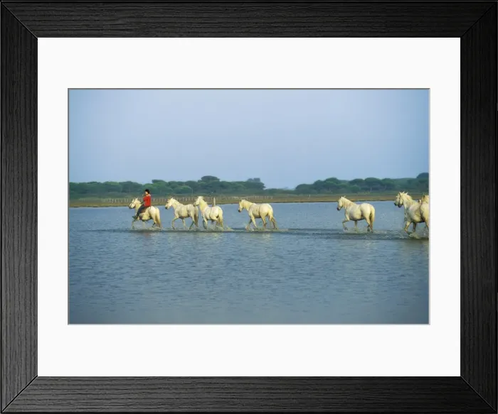 Framed Print : Picture No. 10785589 Framed Print : Picture No. 10785589