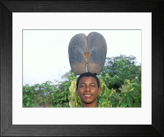 Framed Print : Picture No. 10785729