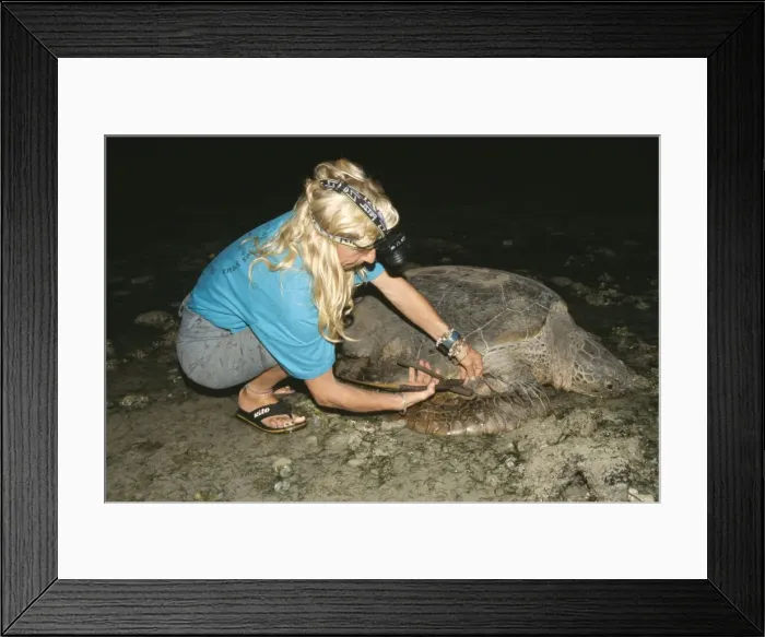 Framed Print : Picture No. 10785739 Framed Print : Picture No. 10785739