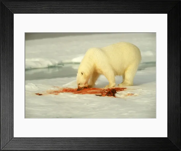 Framed Print : Picture No. 10785705 Framed Print : Picture No. 10785705