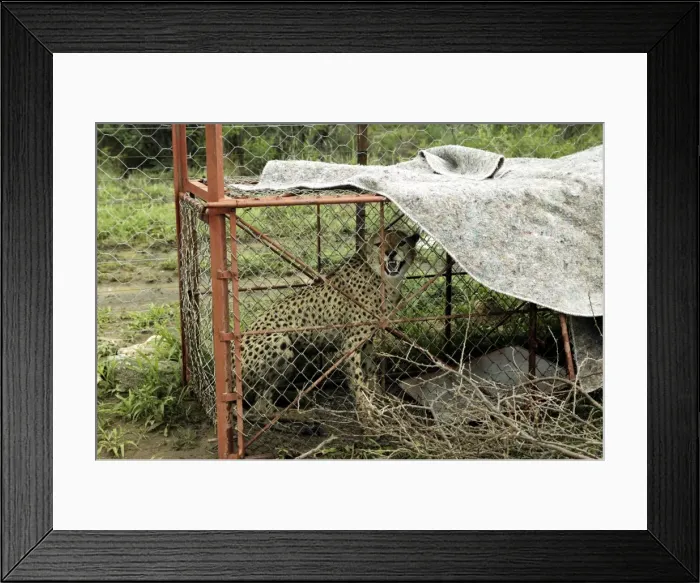 Framed Print : Picture No. 10785940 Framed Print : Picture No. 10785940