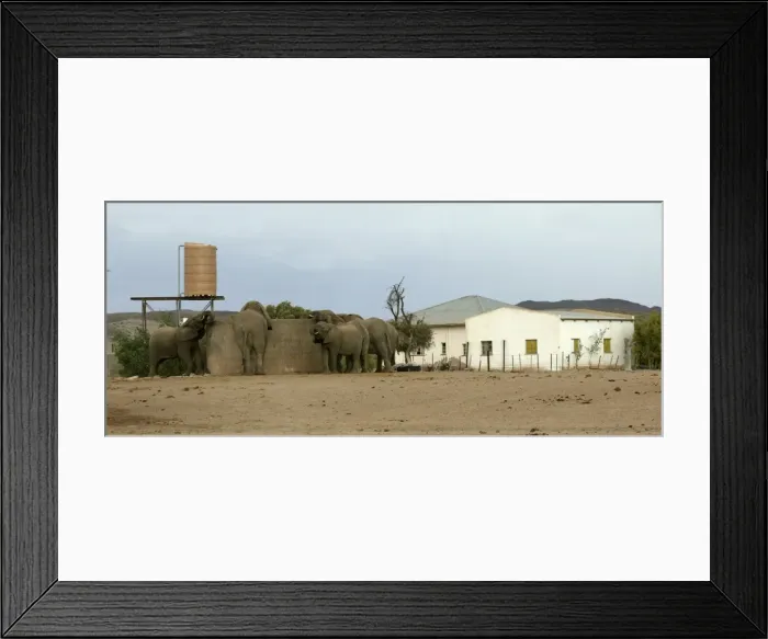 Framed Print : Picture No. 10785782