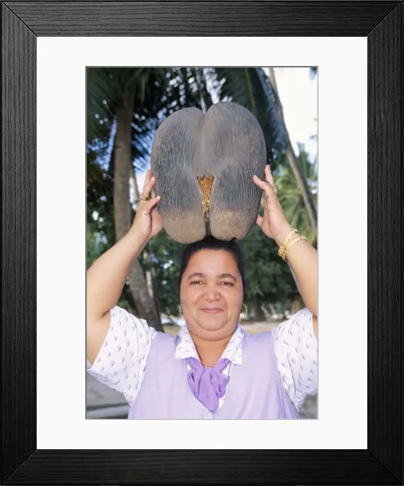 Framed Print : Picture No. 10785730 Framed Print : Picture No. 10785730