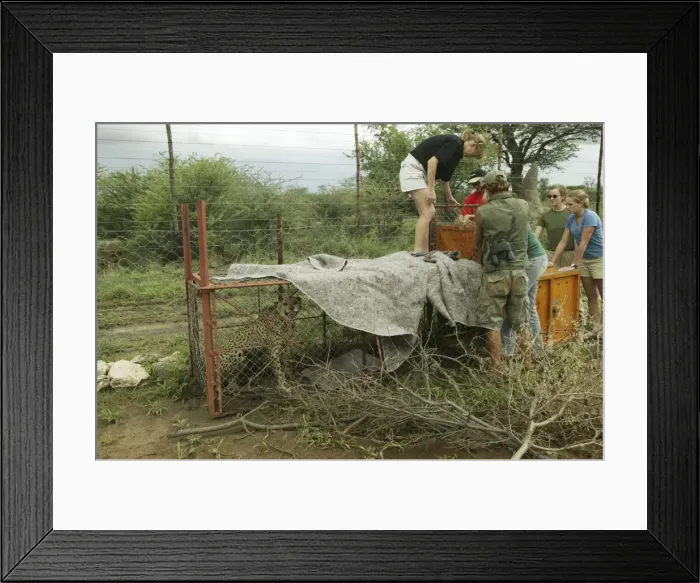 Framed Print : Picture No. 10785939 Framed Print : Picture No. 10785939