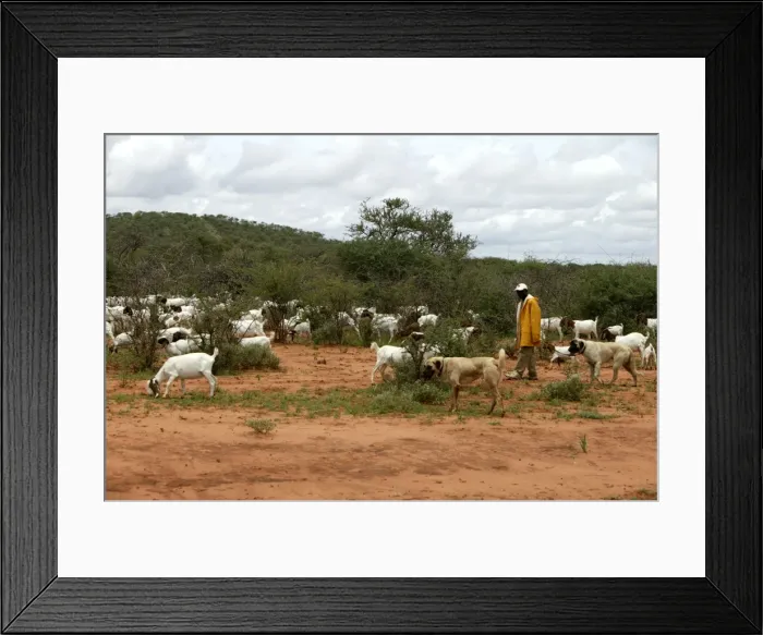 Framed Print : Picture No. 10786100 Framed Print : Picture No. 10786100