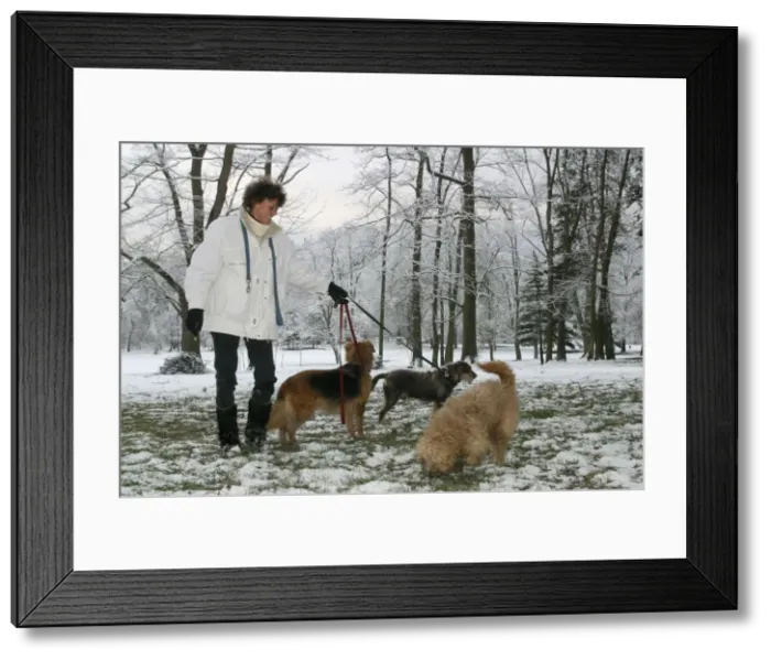 Framed Print : Picture No. 10786394 Framed Print : Picture No. 10786394