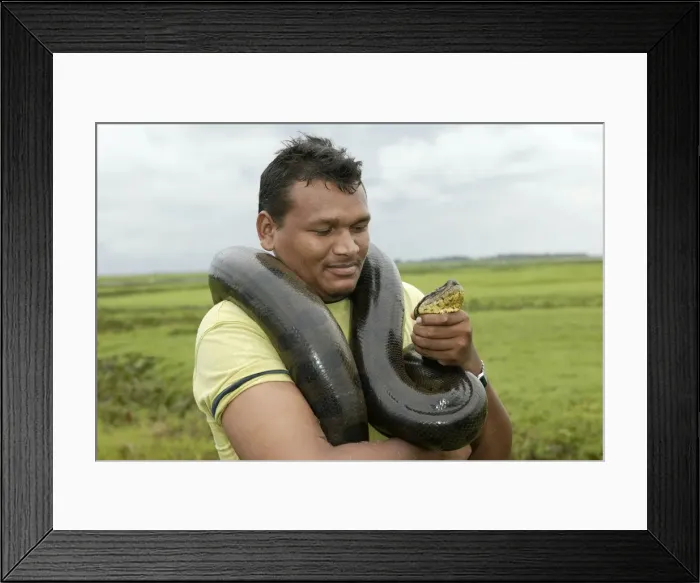Framed Print : Picture No. 10786319 Framed Print : Picture No. 10786319