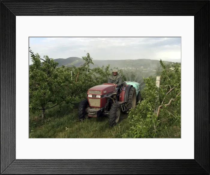 Framed Print : Picture No. 10786494 Framed Print : Picture No. 10786494