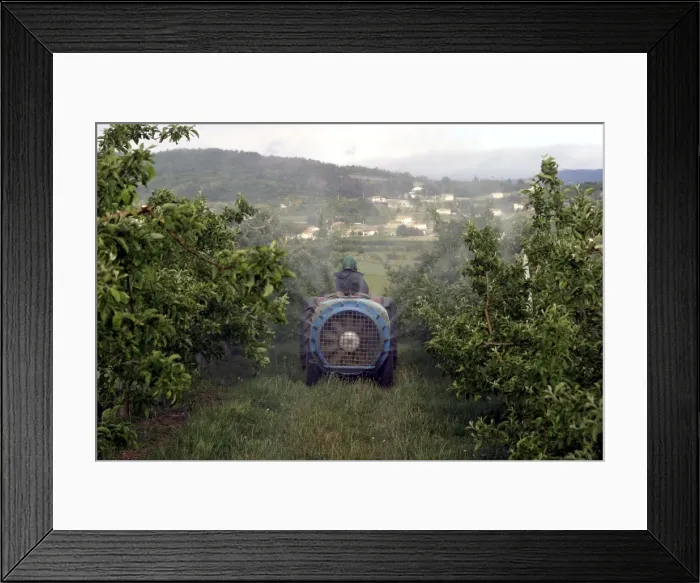 Framed Print : Picture No. 10786492 Framed Print : Picture No. 10786492