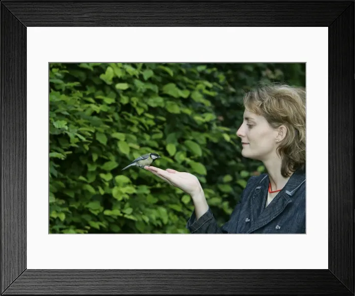 Framed Print : Picture No. 10786714 Framed Print : Picture No. 10786714