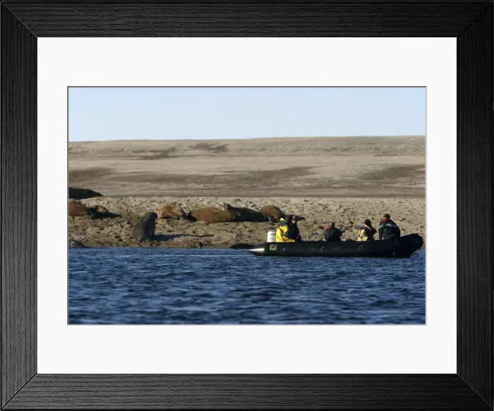 Framed Print : Picture No. 10786473 Framed Print : Picture No. 10786473