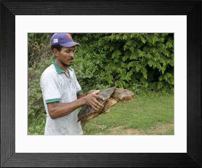 Framed Print : Picture No. 10786703 Framed Print : Picture No. 10786703