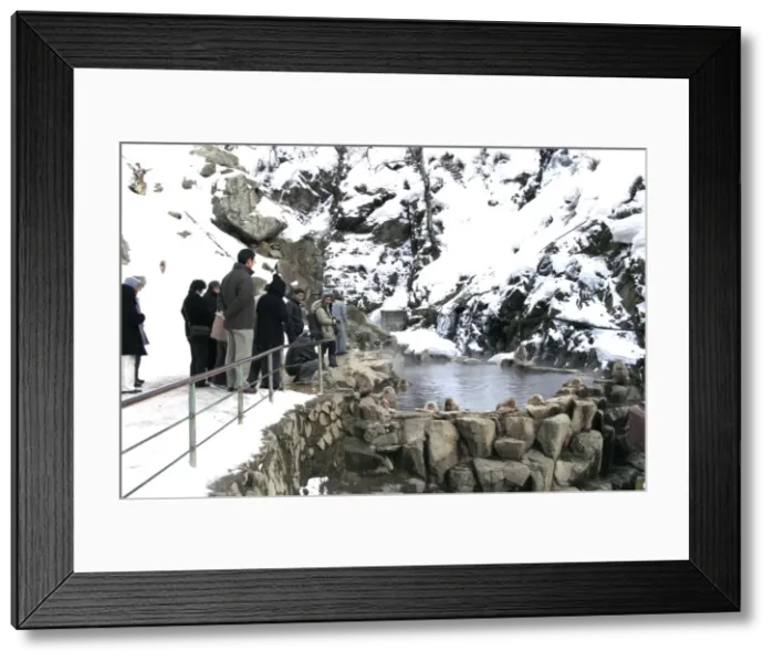 Framed Print : Picture No. 10786528 Framed Print : Picture No. 10786528