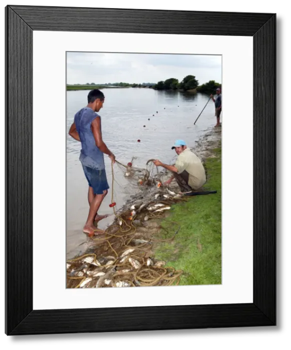 Framed Print : Picture No. 10786727 Framed Print : Picture No. 10786727