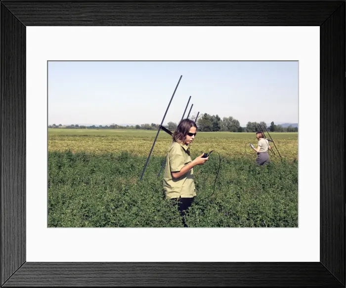 Framed Print : Picture No. 10786785 Framed Print : Picture No. 10786785