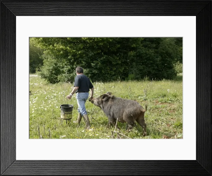 Framed Print : Picture No. 10786787 Framed Print : Picture No. 10786787