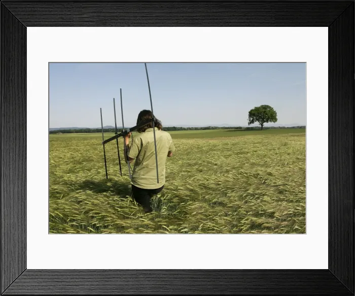 Framed Print : Picture No. 10786786 Framed Print : Picture No. 10786786
