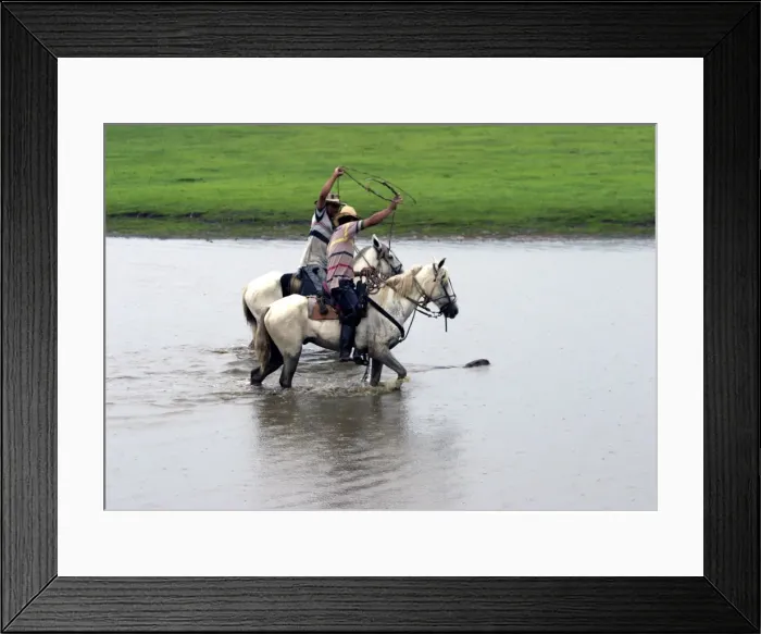 Framed Print : Picture No. 10786947 Framed Print : Picture No. 10786947