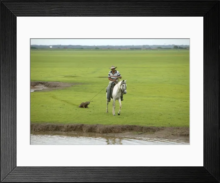 Framed Print : Picture No. 10786946 Framed Print : Picture No. 10786946