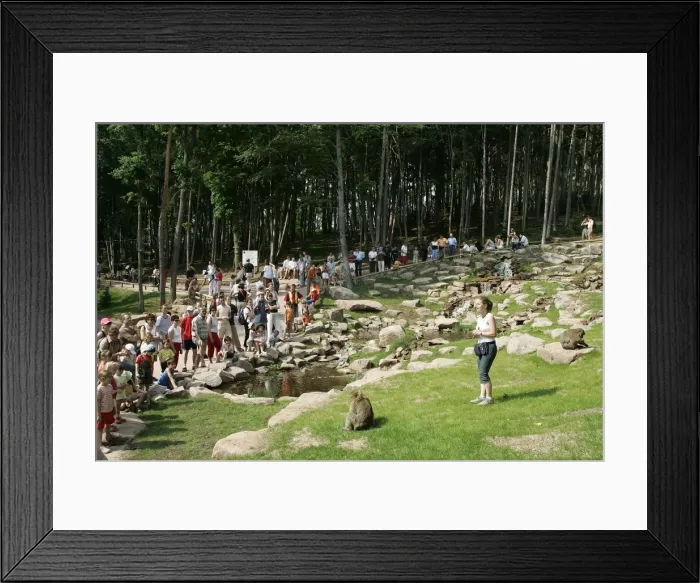 Framed Print : Picture No. 10786953 Framed Print : Picture No. 10786953