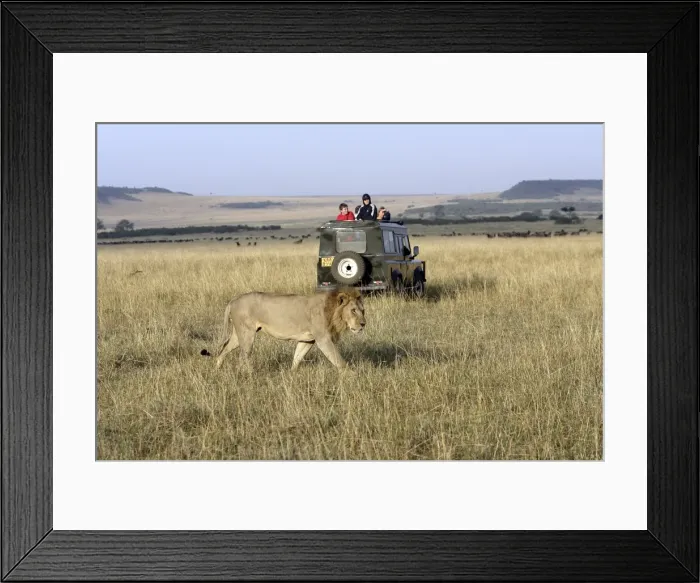 Framed Print : Picture No. 10786970 Framed Print : Picture No. 10786970