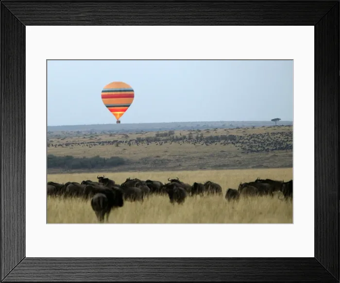 Framed Print : Picture No. 10786967 Framed Print : Picture No. 10786967