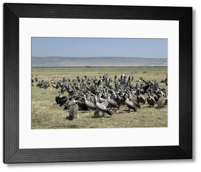 Framed Print : Picture No. 10787052 Framed Print : Picture No. 10787052