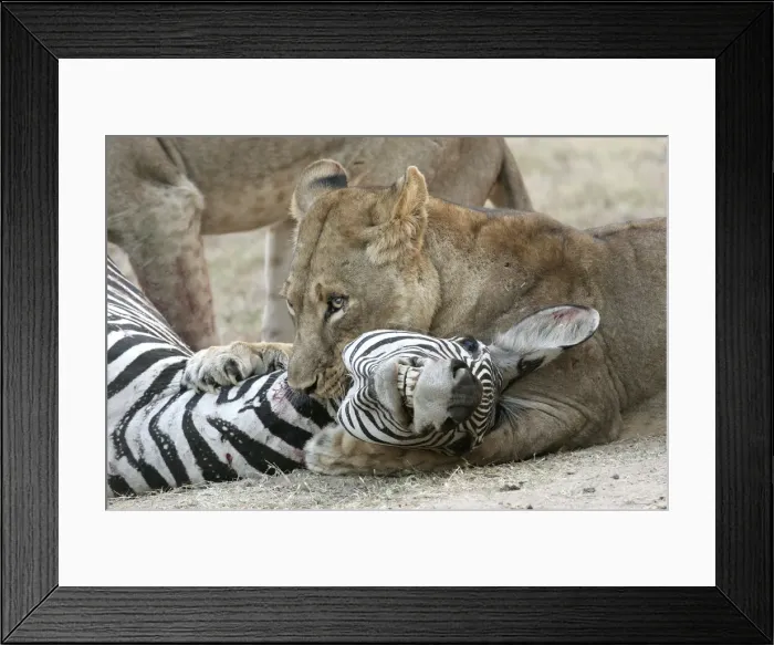 Framed Print : Picture No. 10787128 Framed Print : Picture No. 10787128