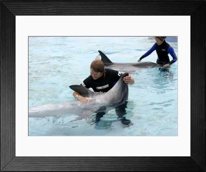Framed Print : Picture No. 10787453 Framed Print : Picture No. 10787453