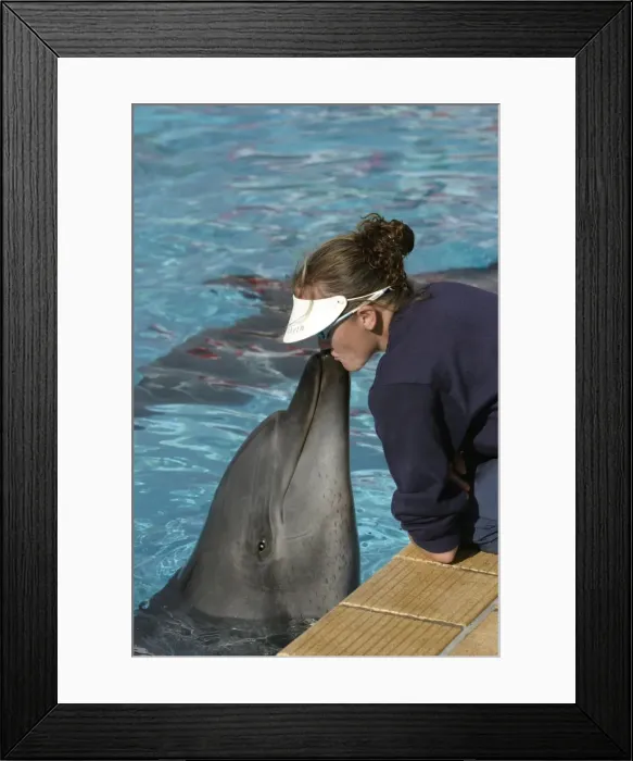 Framed Print : Picture No. 10787449 Framed Print : Picture No. 10787449