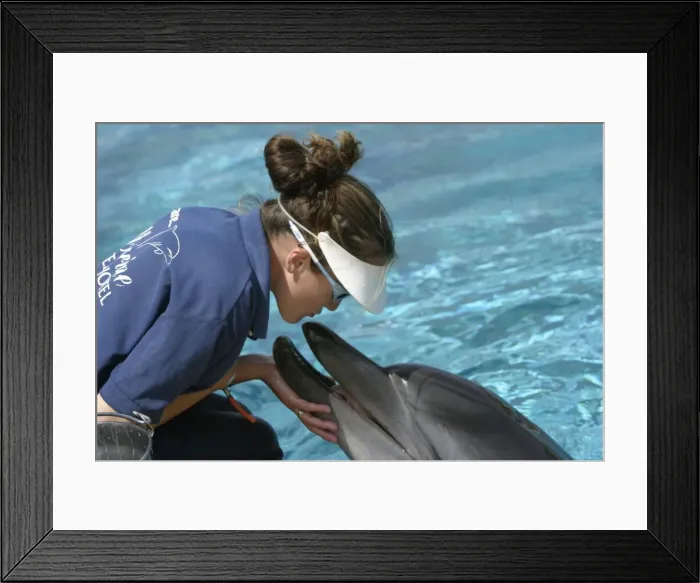 Framed Print : Picture No. 10787452 Framed Print : Picture No. 10787452