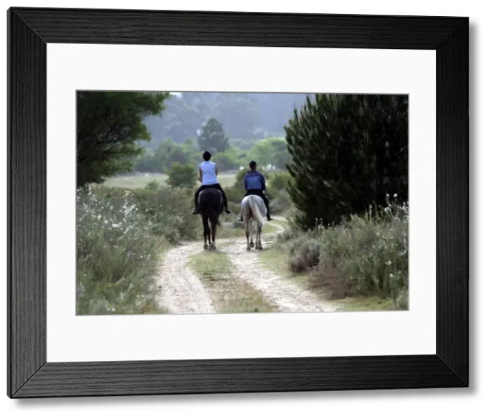 Framed Print : Picture No. 10787490 Framed Print : Picture No. 10787490