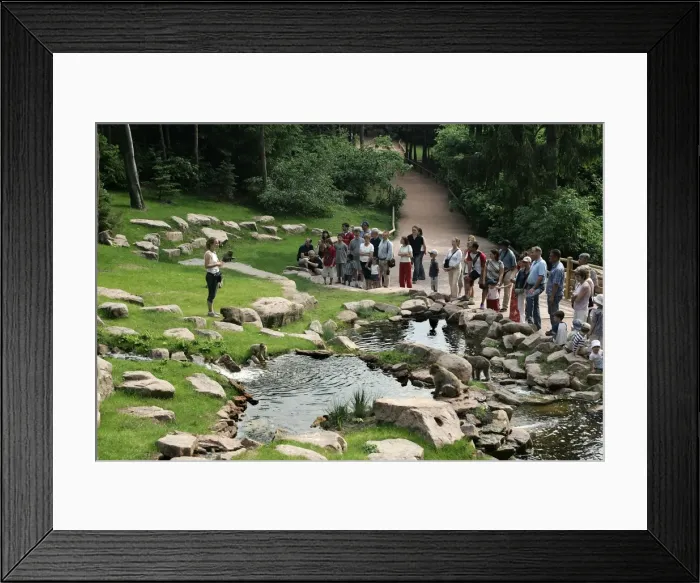 Framed Print : Picture No. 10787445 Framed Print : Picture No. 10787445
