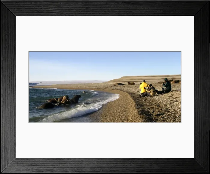 Framed Print : Picture No. 10787671 Framed Print : Picture No. 10787671
