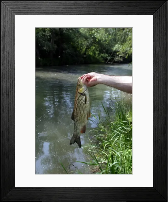 Framed Print : Picture No. 10787720 Framed Print : Picture No. 10787720
