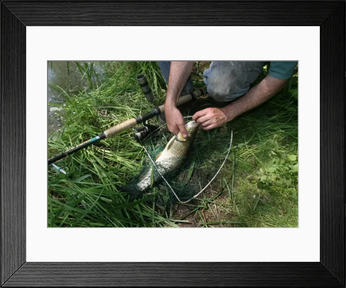 Framed Print : Picture No. 10787718 Framed Print : Picture No. 10787718
