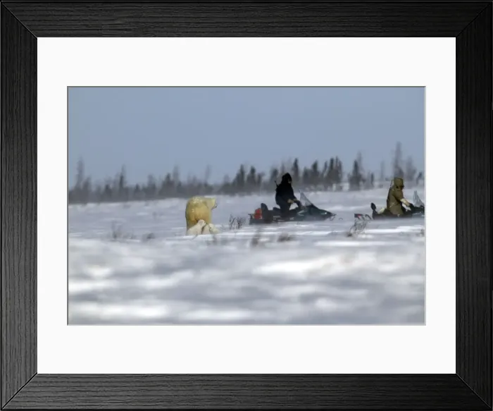 Framed Print : Picture No. 10787702 Framed Print : Picture No. 10787702