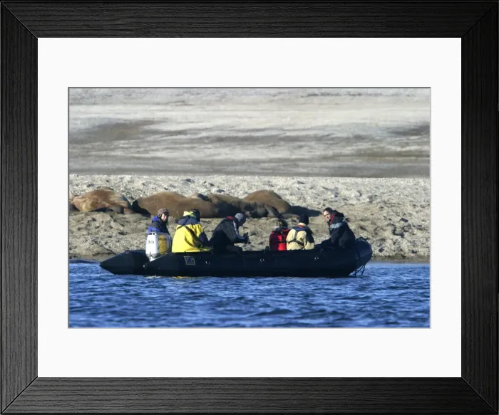 Framed Print : Picture No. 10787667 Framed Print : Picture No. 10787667