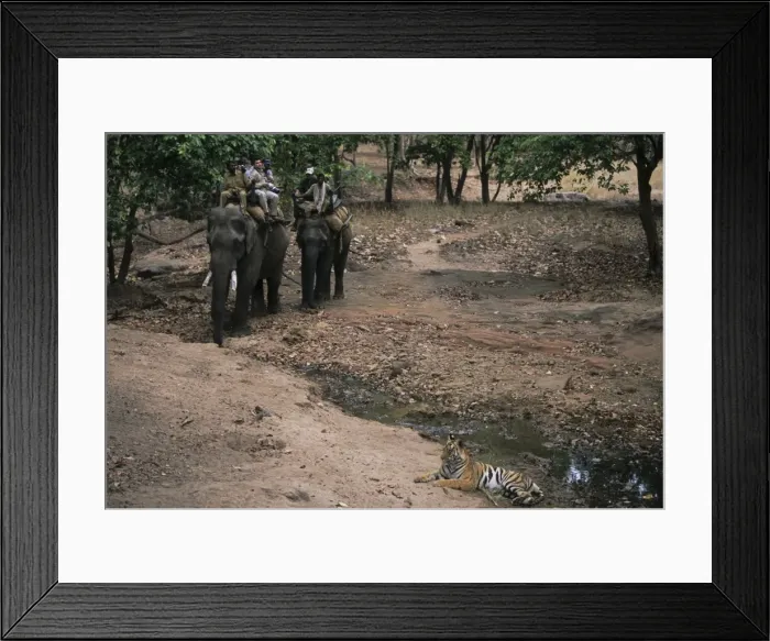Framed Print : Picture No. 10788197