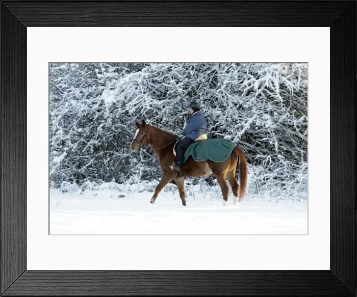 Framed Print : Picture No. 10792098 Framed Print : Picture No. 10792098