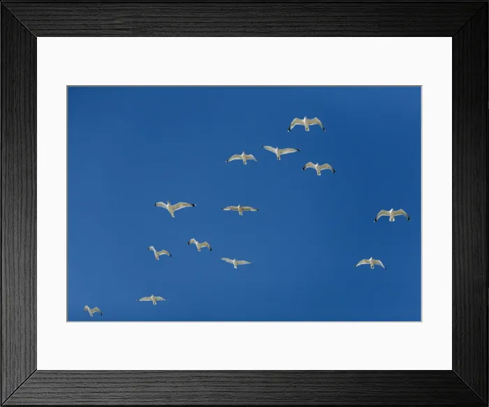 Framed Print : Picture No. 10792186 Framed Print : Picture No. 10792186