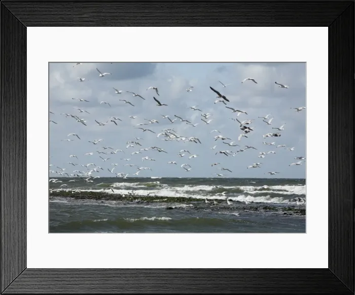 Framed Print : Picture No. 10792185 Framed Print : Picture No. 10792185