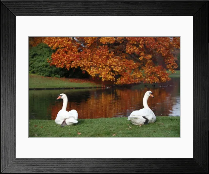 Framed Print : Picture No. 10792208 Framed Print : Picture No. 10792208