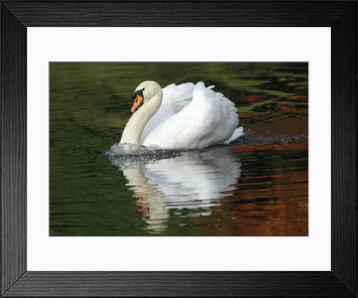 Framed Print : Picture No. 10792211 Framed Print : Picture No. 10792211