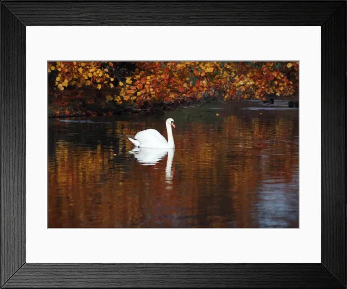 Framed Print : Picture No. 10792210 Framed Print : Picture No. 10792210