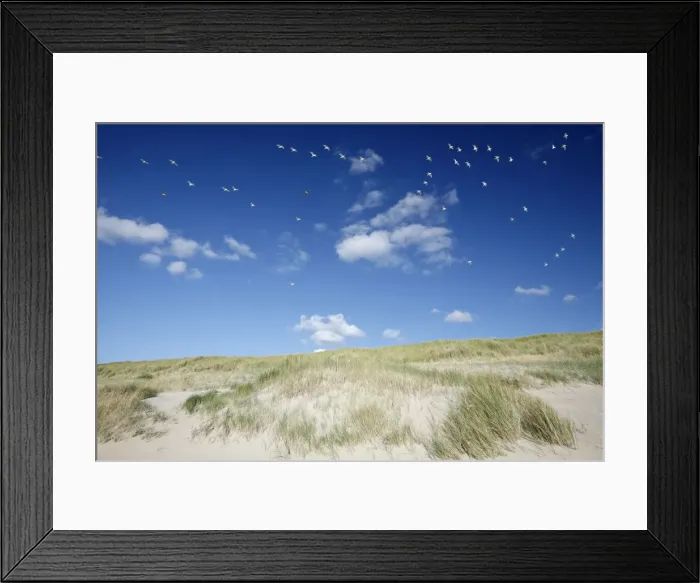 Framed Print : Picture No. 10792231 Framed Print : Picture No. 10792231
