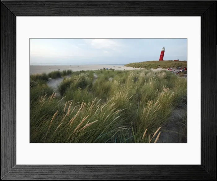 Framed Print : Picture No. 10792216 Framed Print : Picture No. 10792216