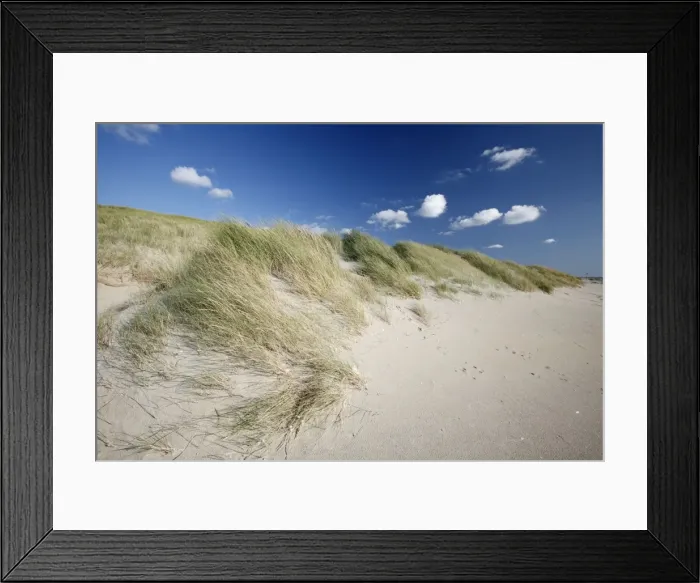 Framed Print : Picture No. 10792232 Framed Print : Picture No. 10792232