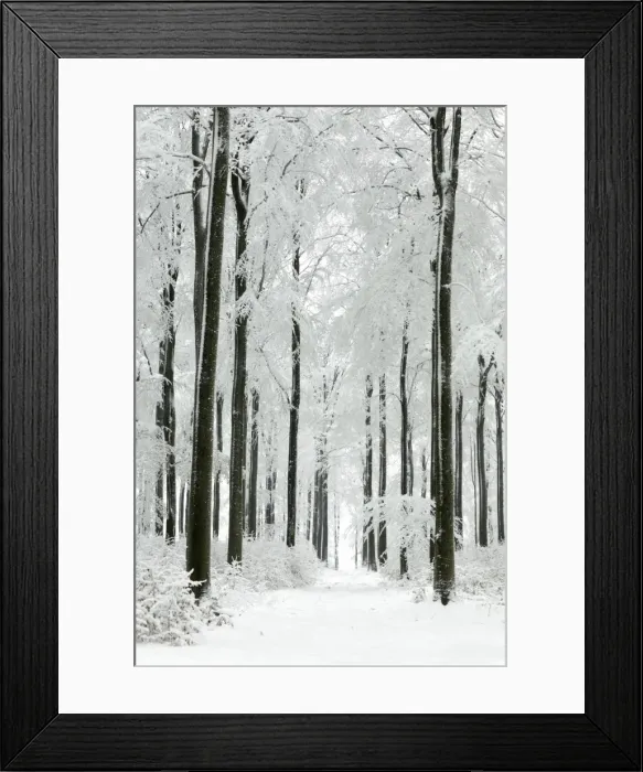 Framed Print : Picture No. 10792249 Framed Print : Picture No. 10792249
